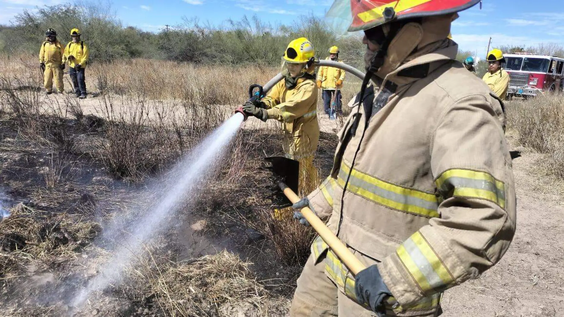 Incendios Forestales Conafor